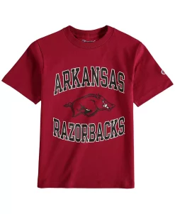 Champion Youth Boys Cardinal Arkansas Razorbacks Circling Team Jersey T-shirt
