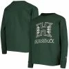 Champion Youth Green Hawaii Warriors Lockup Long Sleeve T-shirt