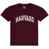 Champion Youth Crimson Harvard Crimson Basic Arch T-shirt