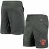 Champion Men's Gray Clemson Tigers Classic Shorts