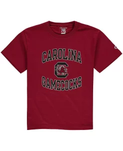 Champion Youth Boys Garnet South Carolina Gamecocks Circling Team Jersey T-shirt