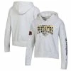 Champion Women's Heathered Gray Nashville Predators Reverse Weave Pullover Hoodie