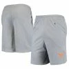 Champion Men's Gray Texas Longhorns Mesh Shorts