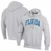 Champion Men's Heathered Gray Florida Gators Team Arch Reverse Weave Pullover Hoodie